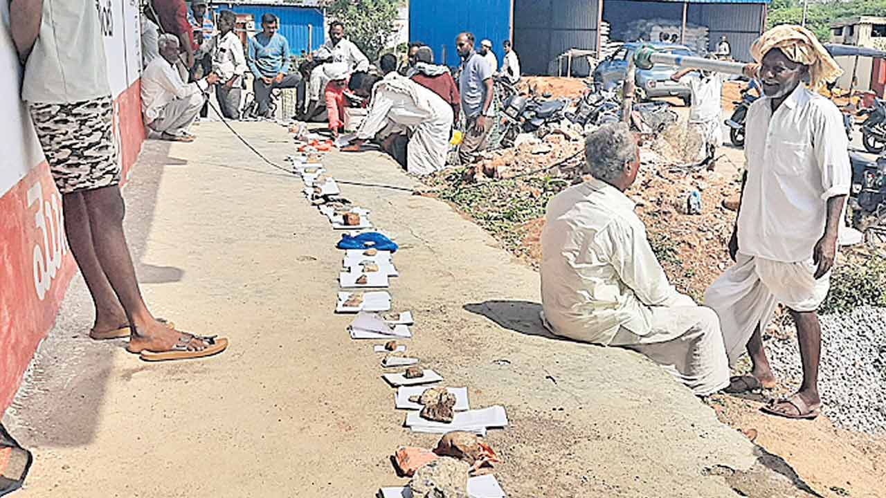 విత్తనాలు దొరికేనా !