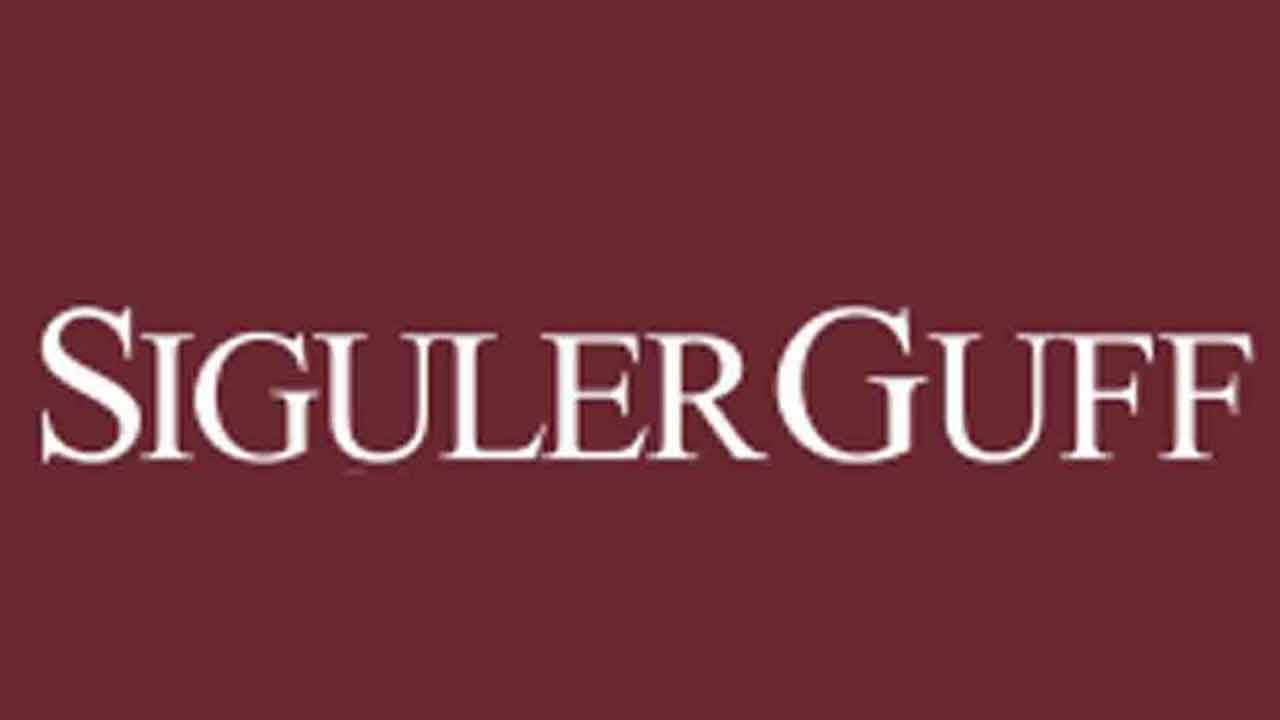 స్పందన స్ఫూర్తిలో సిగులర్‌కు 3.5% వాటా