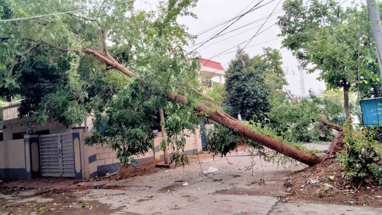 గాలివాన బీభత్సం