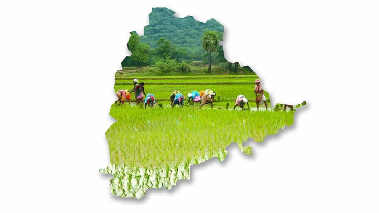 మట్టి పొరలో పుట్టిన చరిత్ర