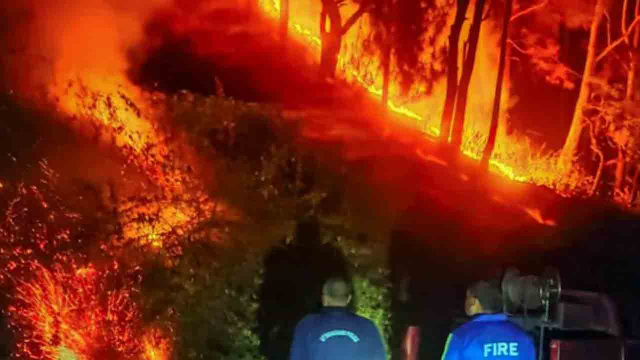 Uttarakhand Forest Fires | ఉత్తరాఖండ్‌ అడవుల్లో ఆగని మంటలు.. రాష్ట్ర, కేంద్ర ప్రభుత్వాలపై సుప్రీంకోర్టు మండిపాటు