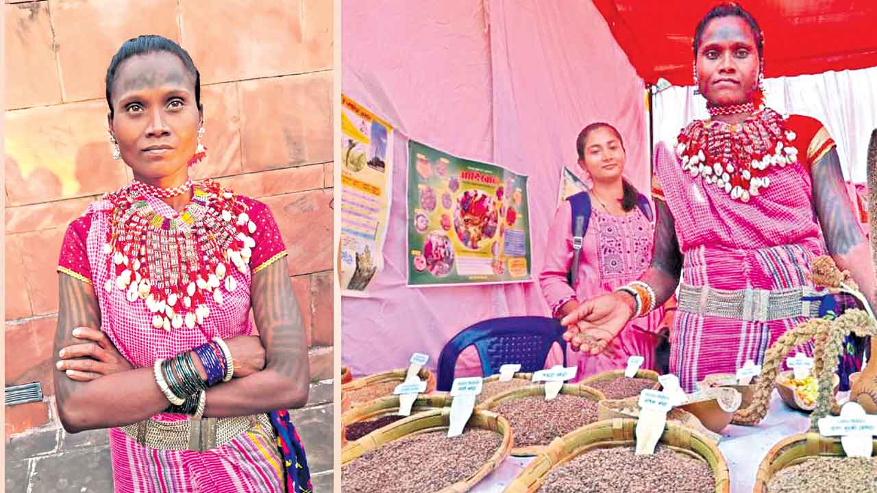 ఆదివాసీ అమ్మ సిరిధాన్యాల రాయబారి