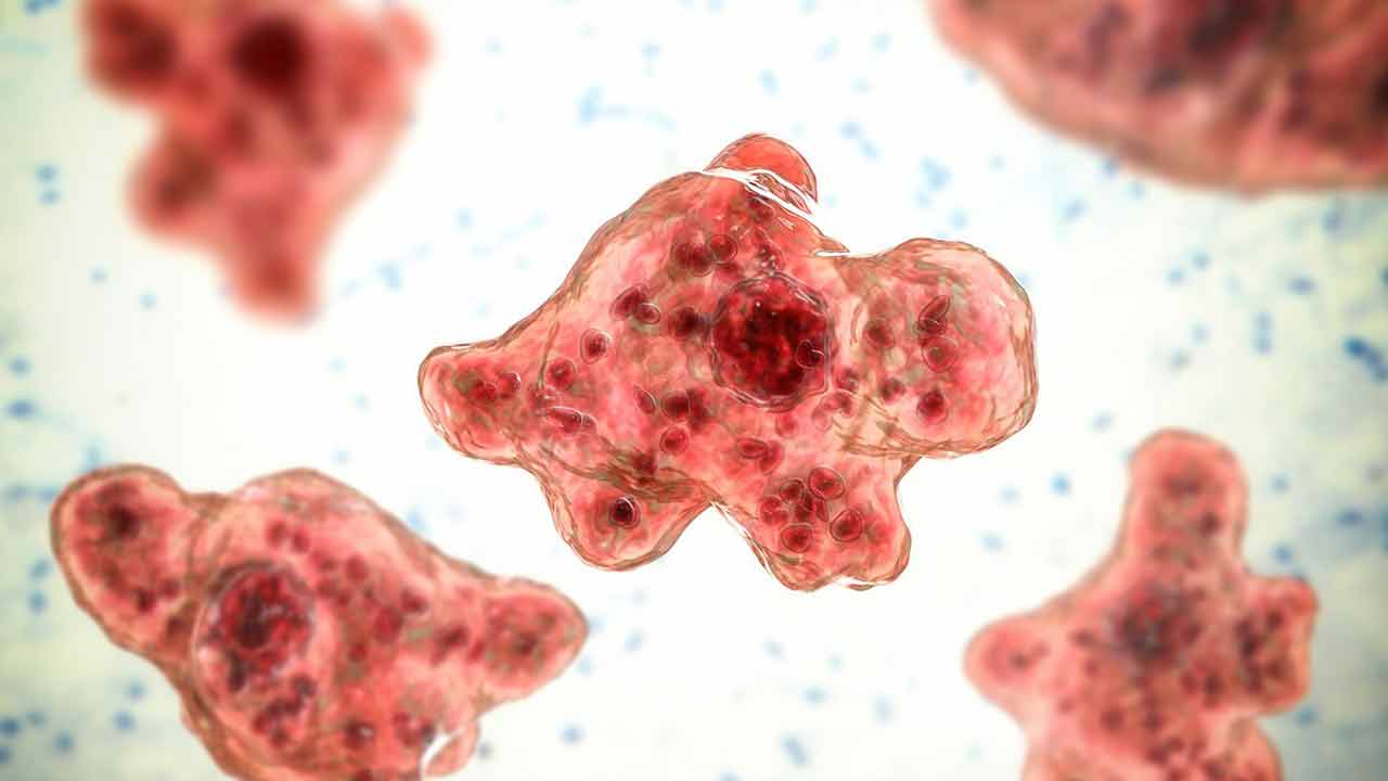 Brain Eating Amoeba | చెరువులో స్నానం.. బ్రెయిన్‌ ఈటింగ్‌ అమీబాతో చిన్నారి మృతి