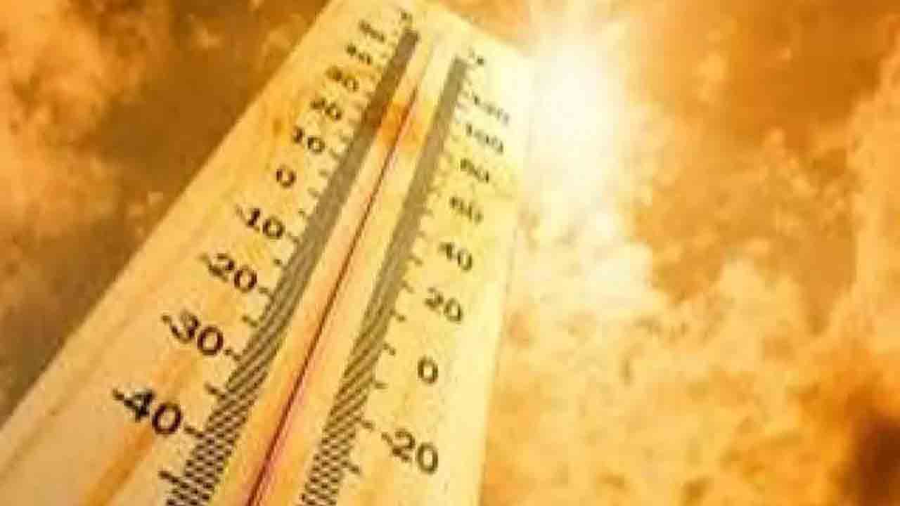 గేటర్‌ @ 40 డిగ్రీలు