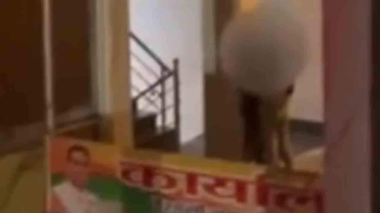 Watch: బీజేపీ ఎమ్మెల్యే ఆఫీస్‌ వద్ద ముద్దులతో జంట నిరసన.. వీడియో వైరల్‌