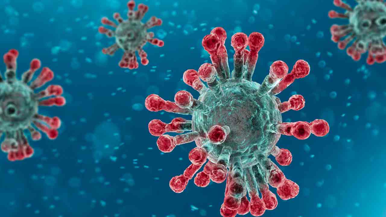 Covid-19 | కొవిడ్‌తో మరో ఇద్దరు మృతి.. ఢిల్లీలో 21కి పెరిగిన కరోనా మరణాలు..!