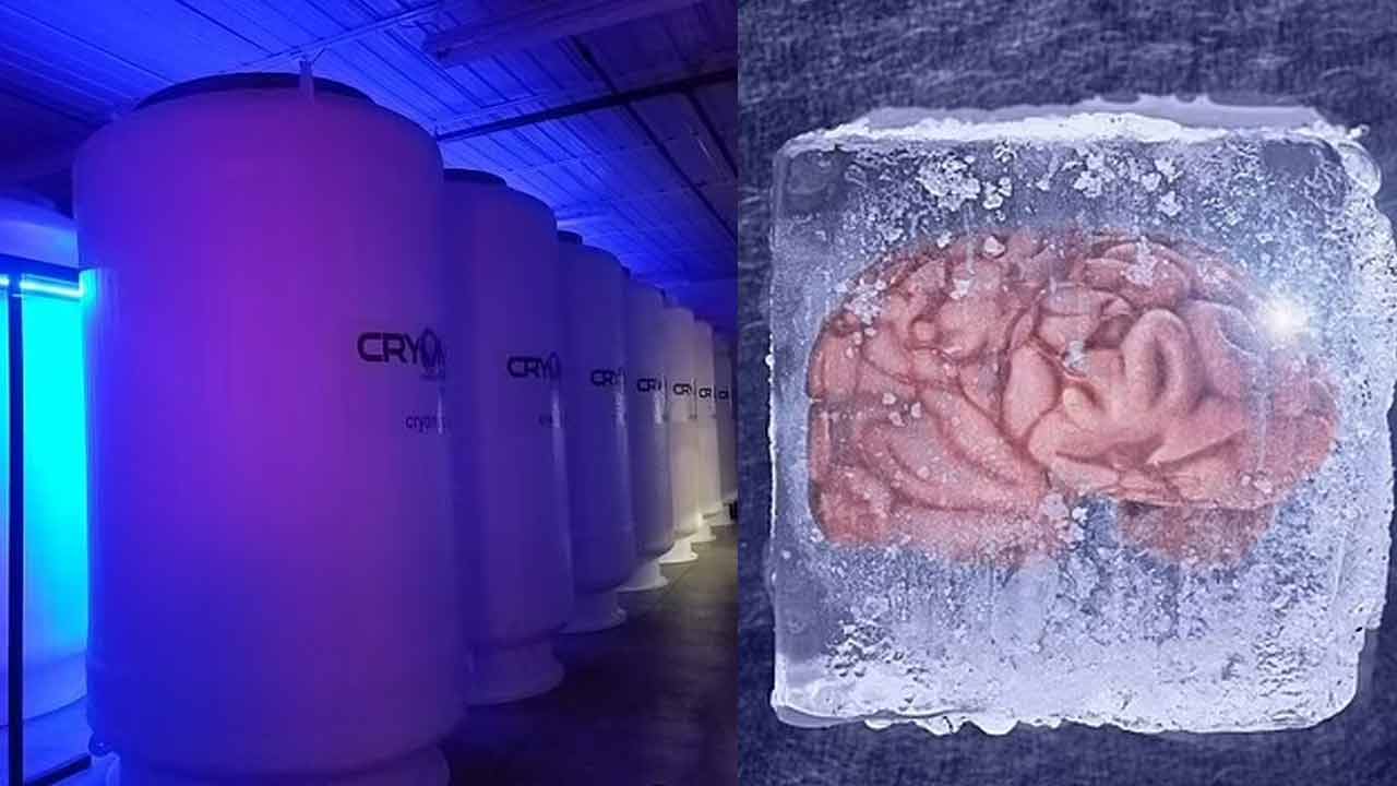 MEDY | మృత్యుంజయులమే.. మెదడు పాడవ్వకుండా కాపాడే క్రయోజెనిక్‌ ఫ్రీజర్‌!