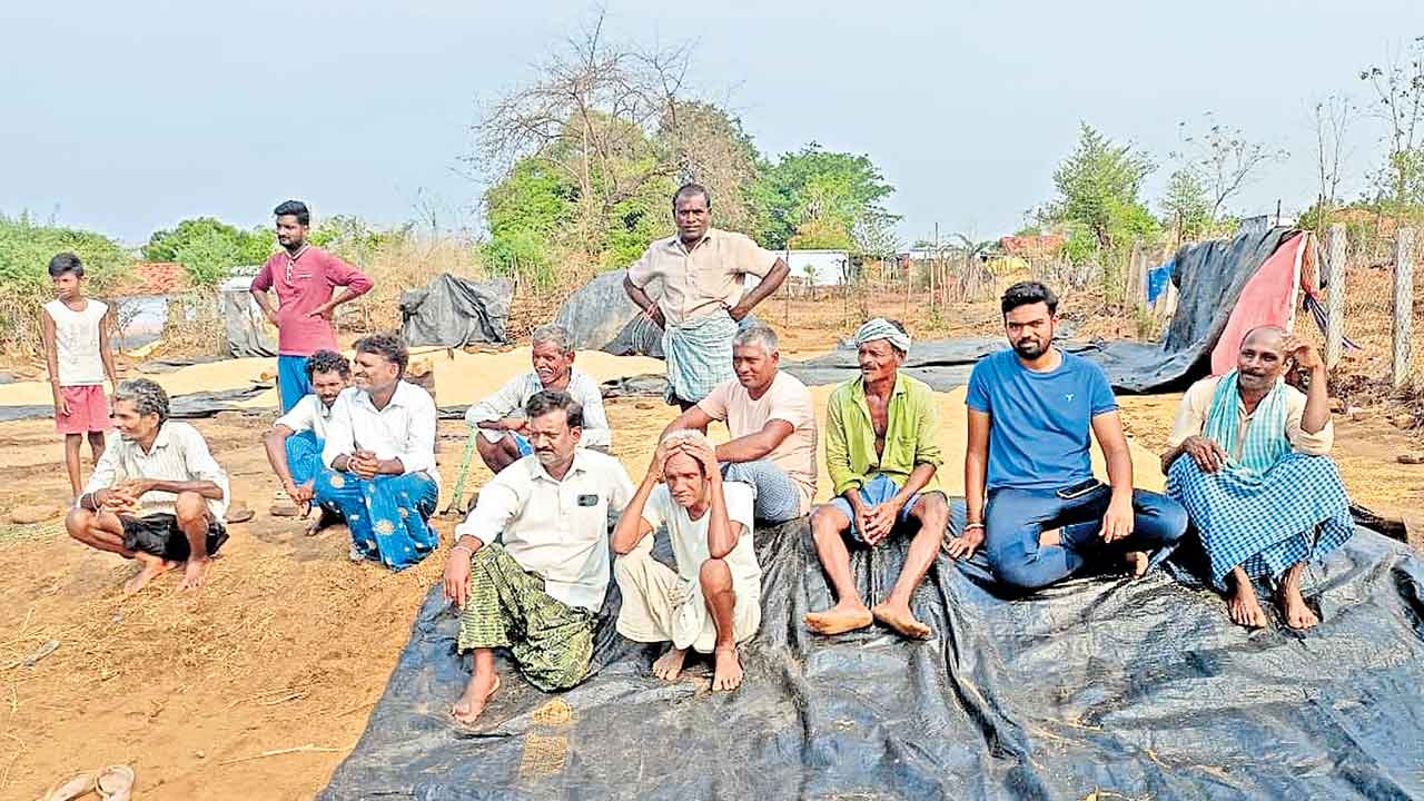 Farmers 1