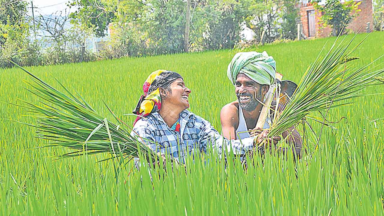 Telangana | యువతకు దారిచూపిన దశాబ్ది