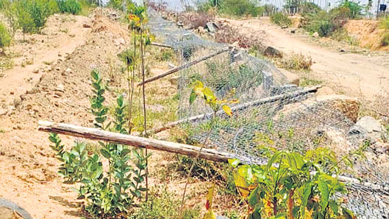 శ్రీధర్‌రెడ్డి హత్య.. రాజకీయ కుట్రేనా?