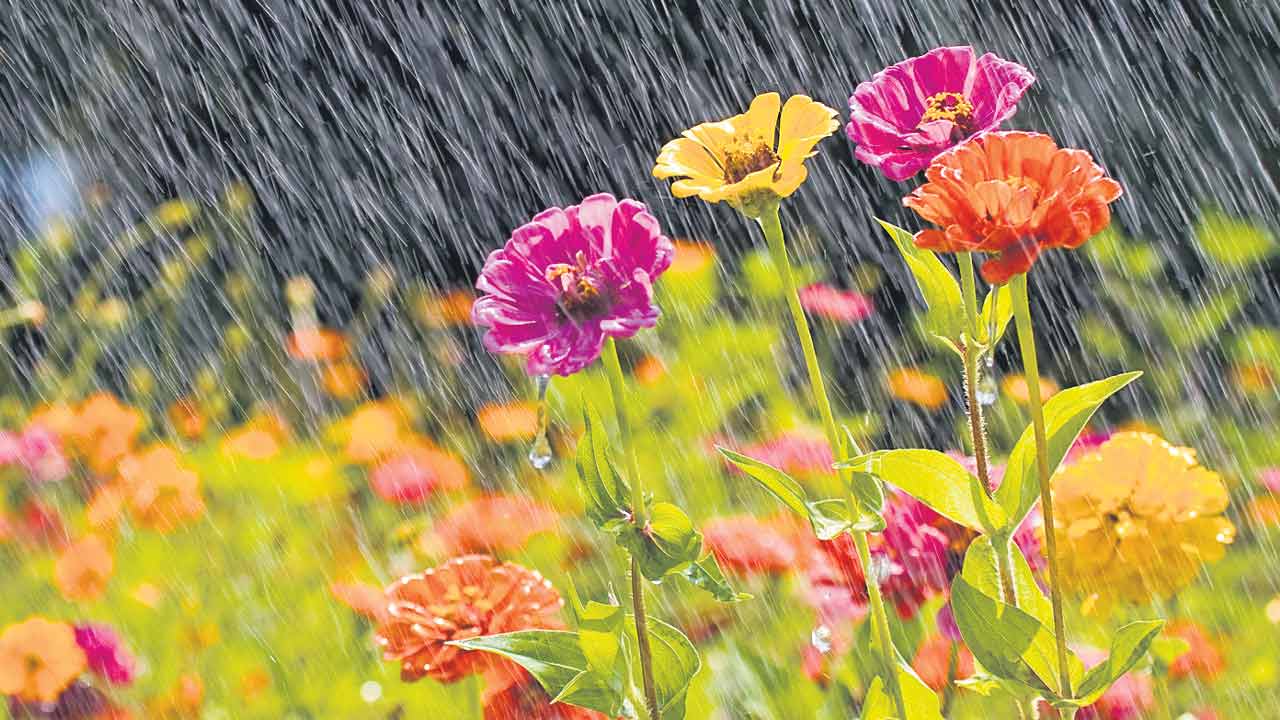 మళ్లీ వర్షకాలం వస్తుంది