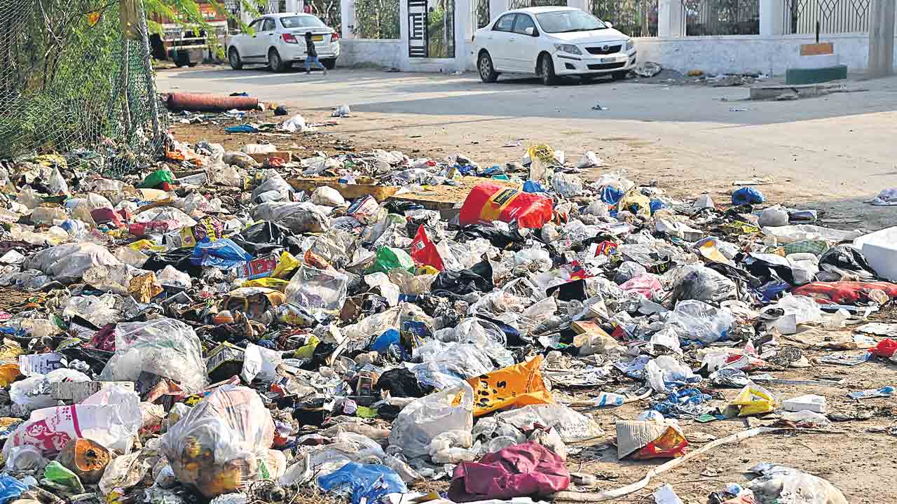 వ్యర్థాలు తీయక.. దుర్వాసన వీడక