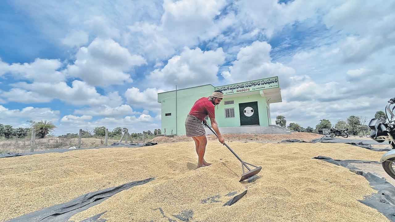 Paddy Procurement | వడ్లు ఇక్కడ.. మంత్రి ఎక్కడ?.. రాష్ట్రంలో మందకొడిగా కొనుగోళ్లు