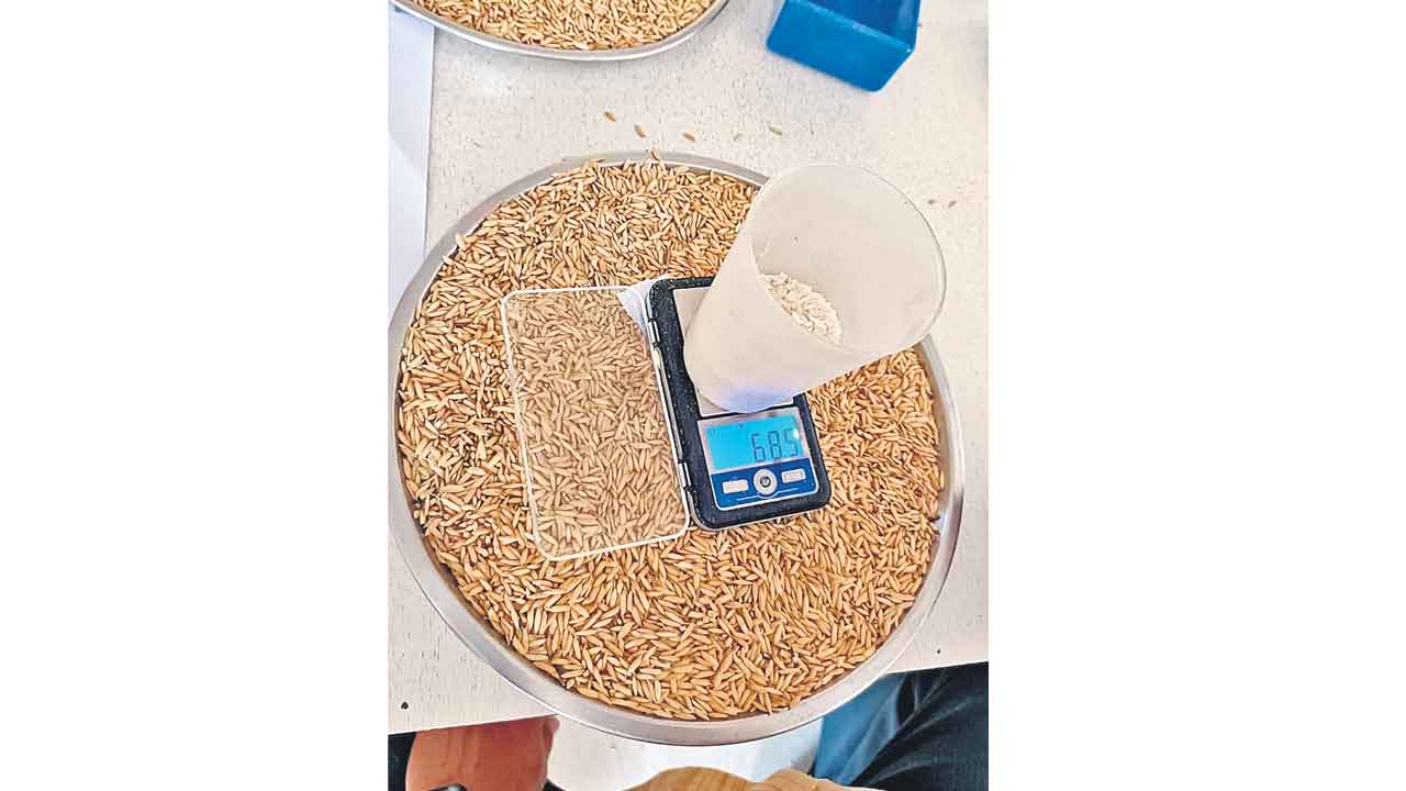 Fraud | వడ్లమ్మబోతే నిలువు దోపిడీ.. ఒక్క రైతుపై ఐదు రకాల మోసం..!