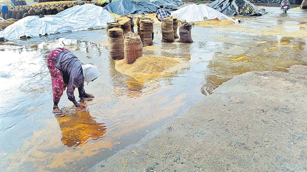 Rain | గాలివాన బీభత్సం.. నేల కూలిన చెట్లు.. విరిగిన విద్యుత్తు స్తంభాలు