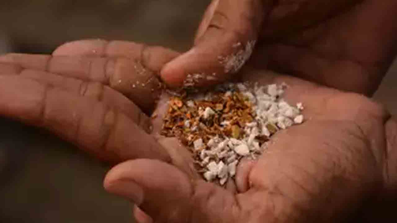 Gutka Ban | తెలంగాణలో గుట్కా తయారీ, అమ్మకంపై నిషేధం