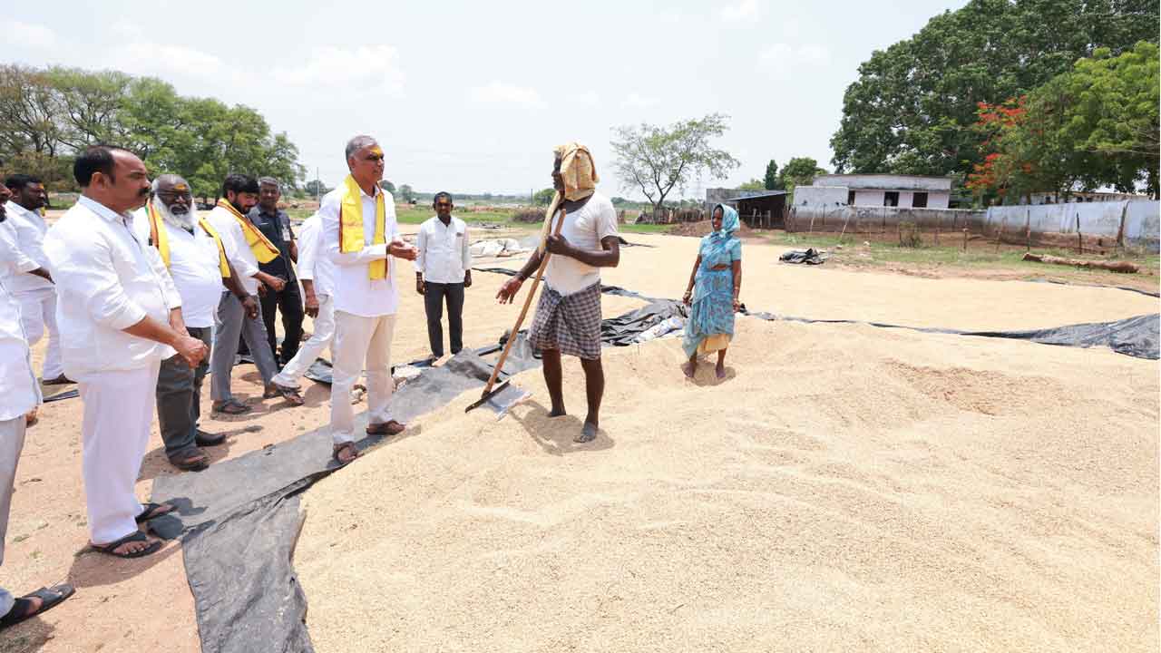 Harish Rao | తరుగులేకుండా వెంటనే ధాన్యం కొనుగోలు చేయాలి : హరీశ్‌ రావు