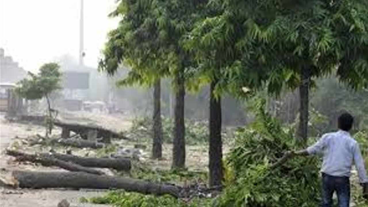 ‘హరితం…హతం’పై…. అటవీ శాఖ చర్యలు