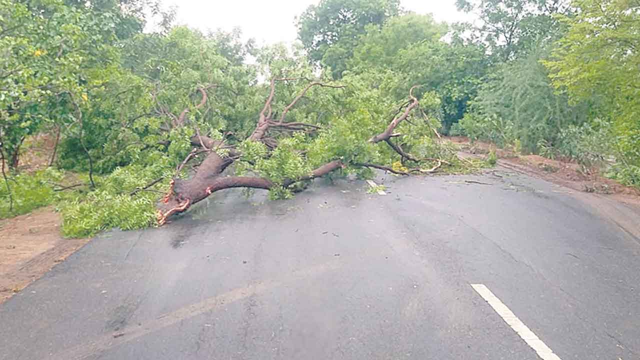 గాలివాన బీభత్సం