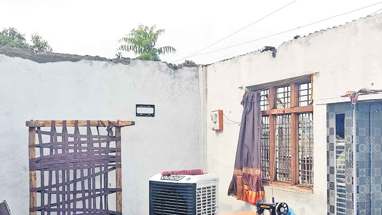 జోరువాన