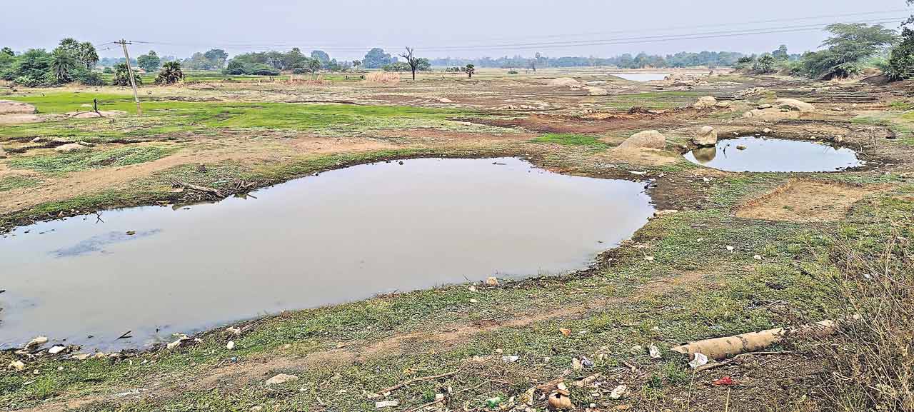 Irrigation1