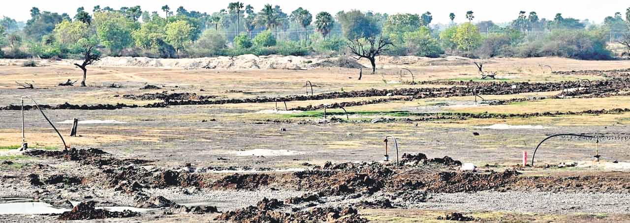 Irrigation7
