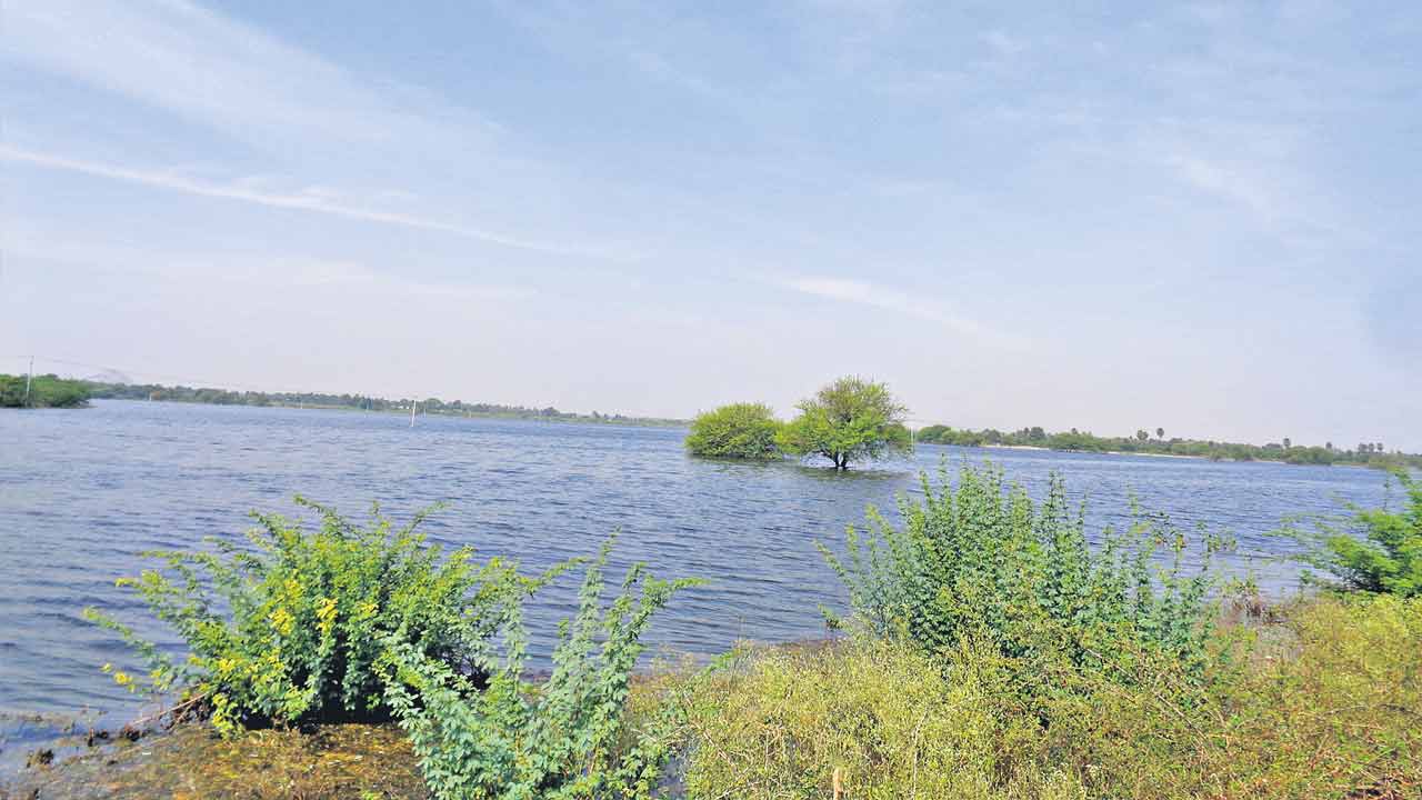 Irrigation8