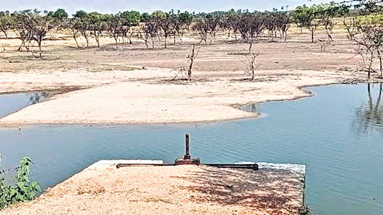 Irrigation9