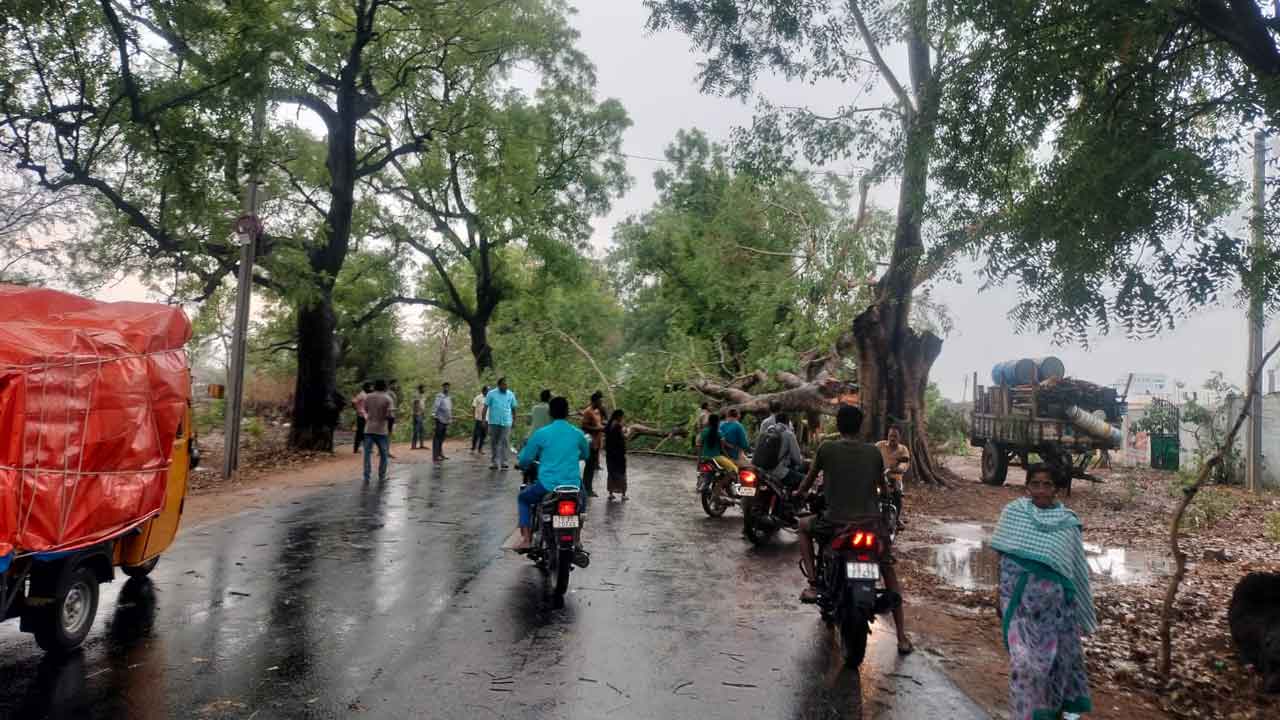 Janagama | జనగామ-సిద్దిపేట రహదారిపై కూలిన భారీ వృక్షం