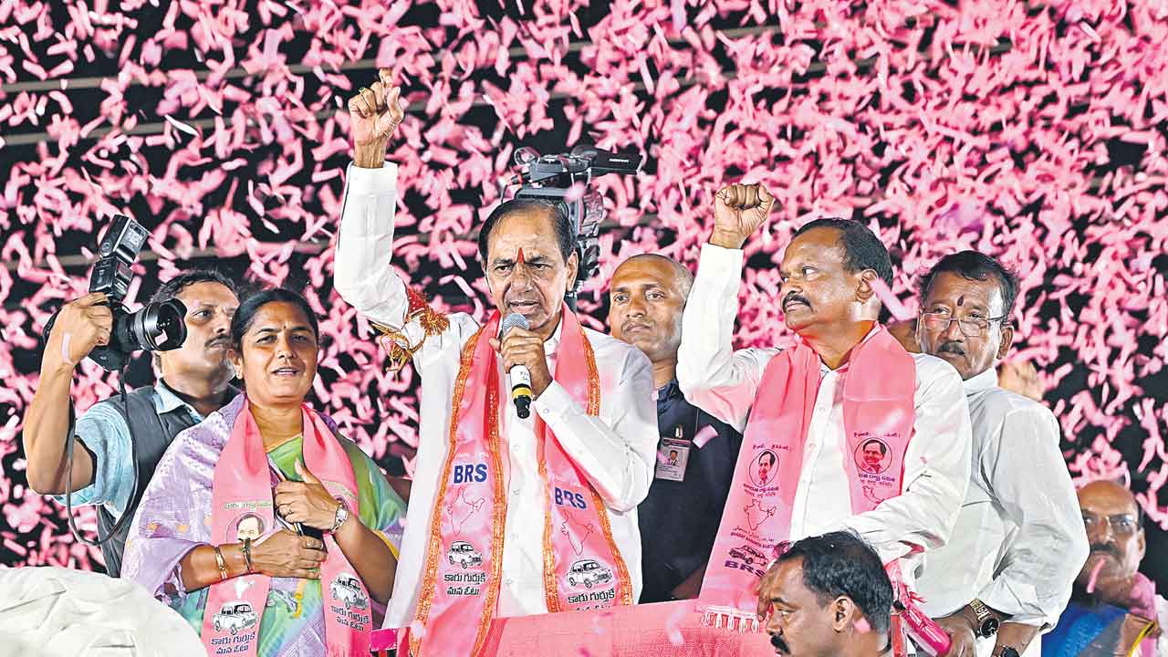 గులాబీ పూలవనం