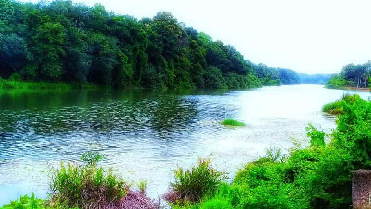 Kerala: న‌దిలో 10 కిలోమీట‌ర్లు కొట్టుకుపోయింది.. కానీ బ్ర‌తికే ఉంది