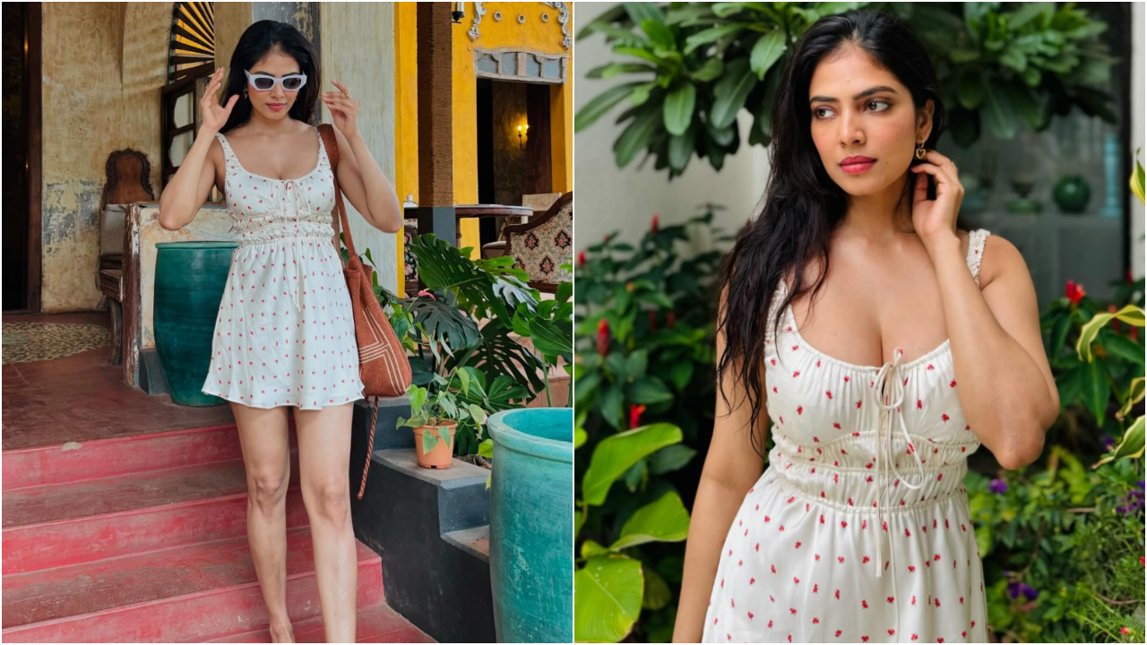 Malavika Mohanan | బుల్లి గౌనులో మాళవిక గ్లామర్ షో..