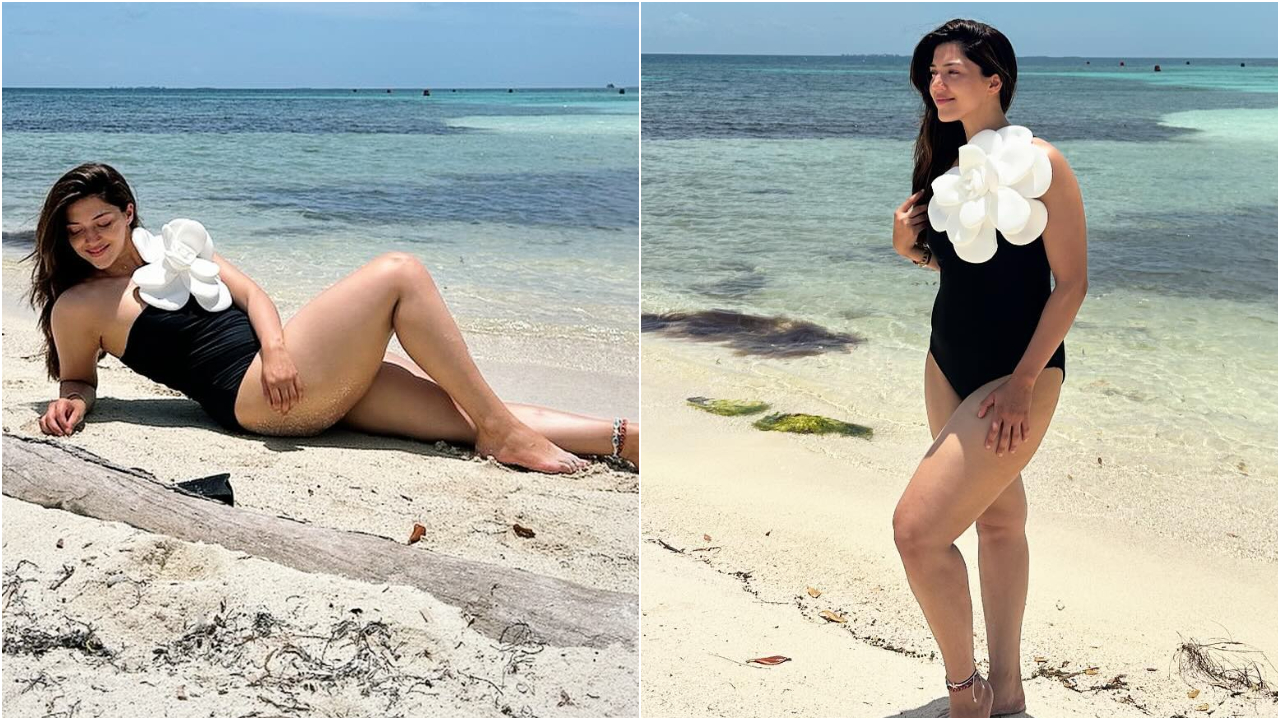 Mehreen Pirzada | బికినీలో మెరిసిపోతున్న మెహ్రీన్.. వర్త్ వర్మ వర్తు!
