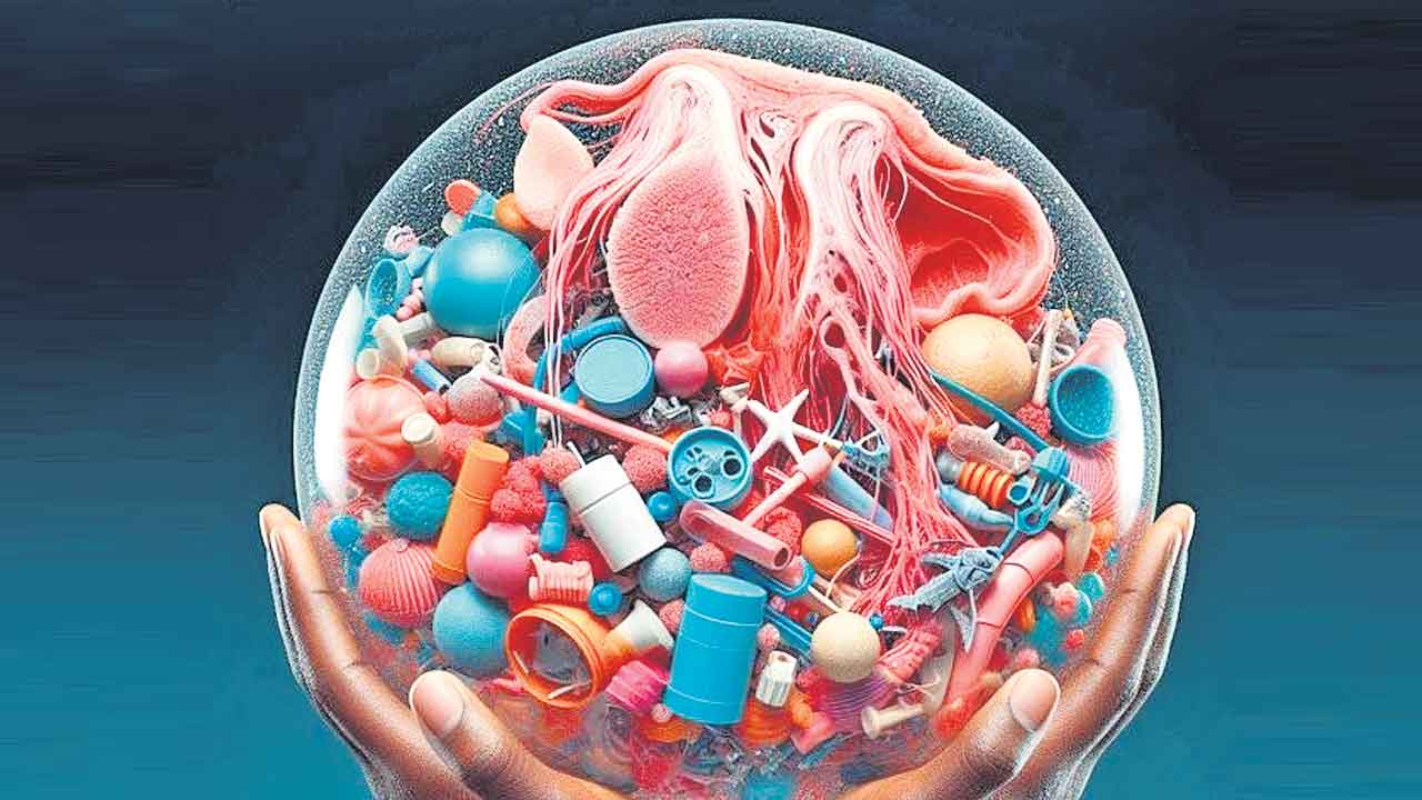 Microplastics | వృషణాల్లోనూ మైక్రోప్లాస్టిక్‌.. సంతానోత్పత్తిపై ప్రభావం