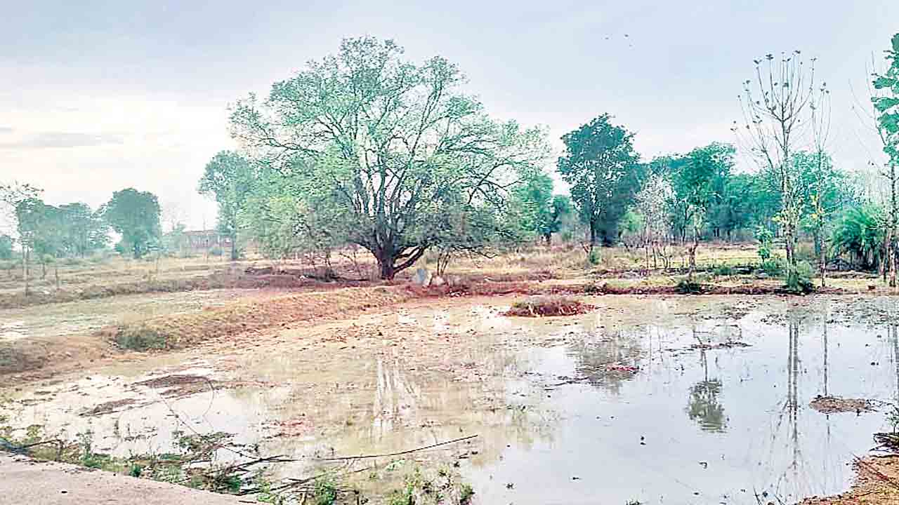కామారెడ్డి జిల్లాలో మోస్తరు వర్షం