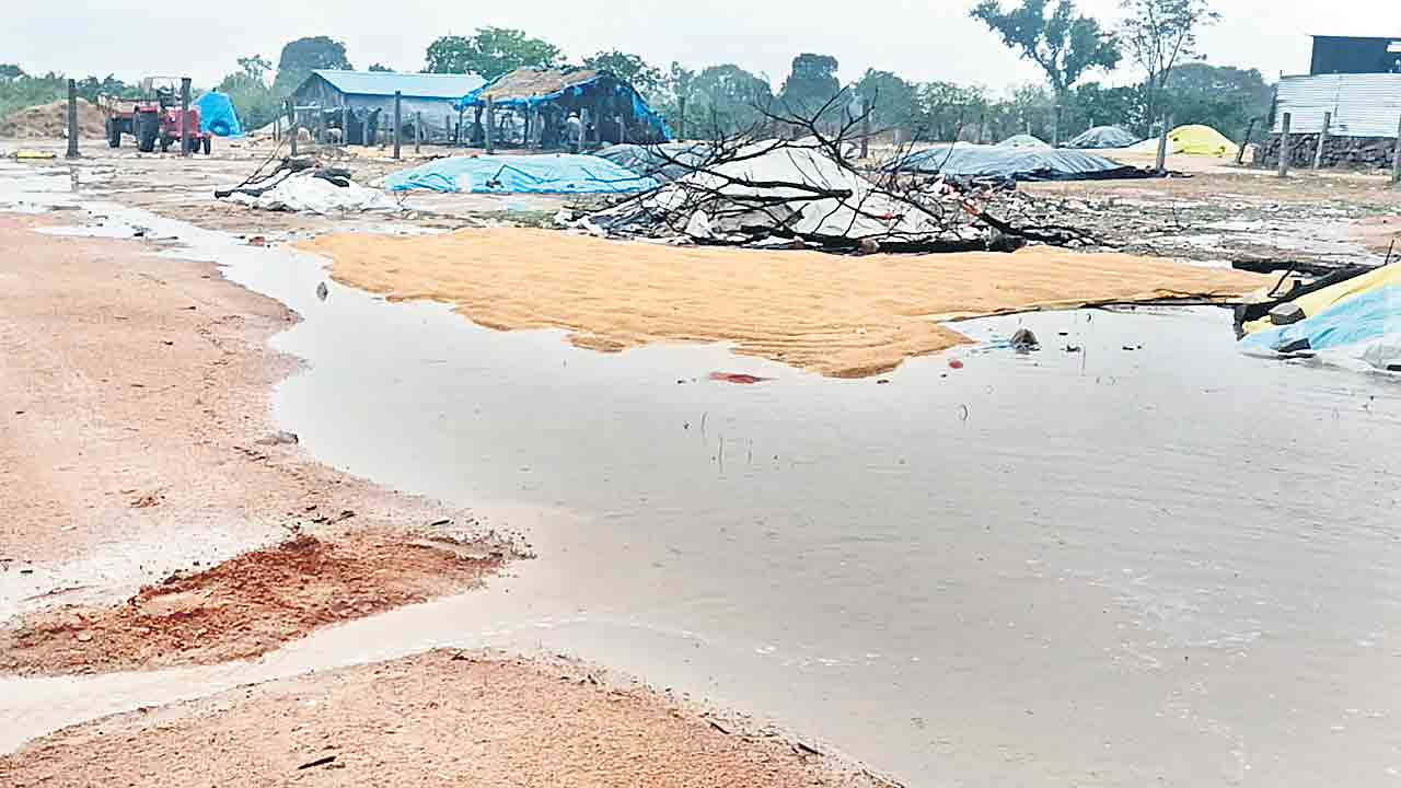 మోస్తరు వర్షం.. తడిసిన ధాన్యం
