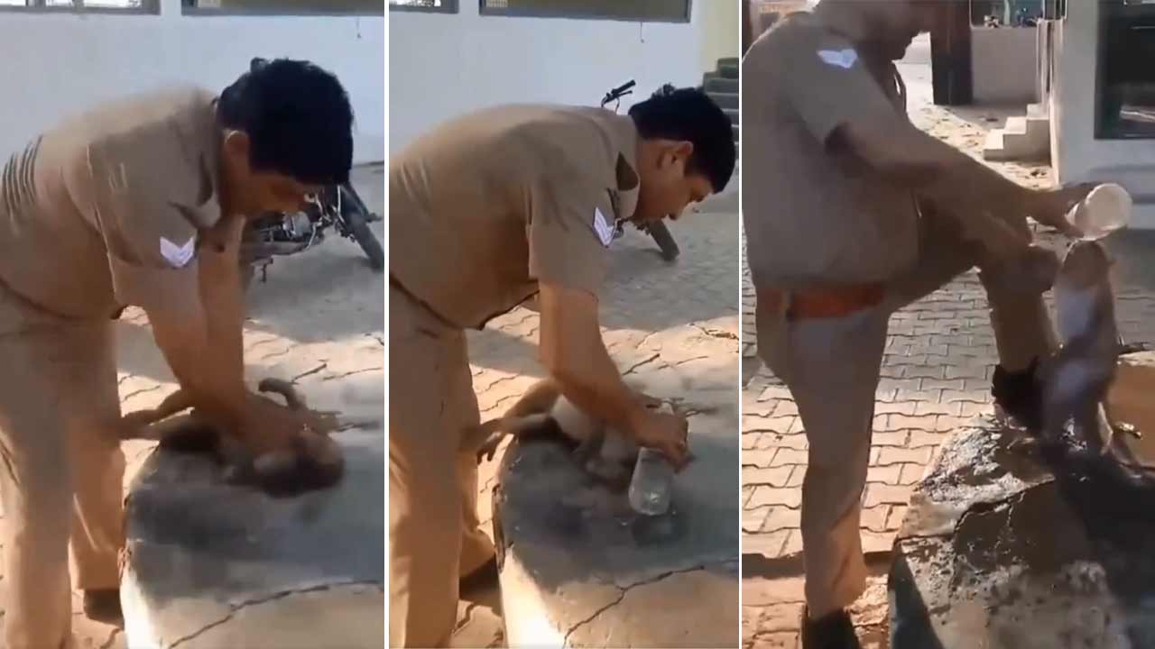 Viral Video | వడదెబ్బతో సొమ్మసిల్లిన కోతికి సీపీఆర్‌.. ప్రాణాలు కాపాడిన హెడ్‌ కానిస్టేబుల్‌