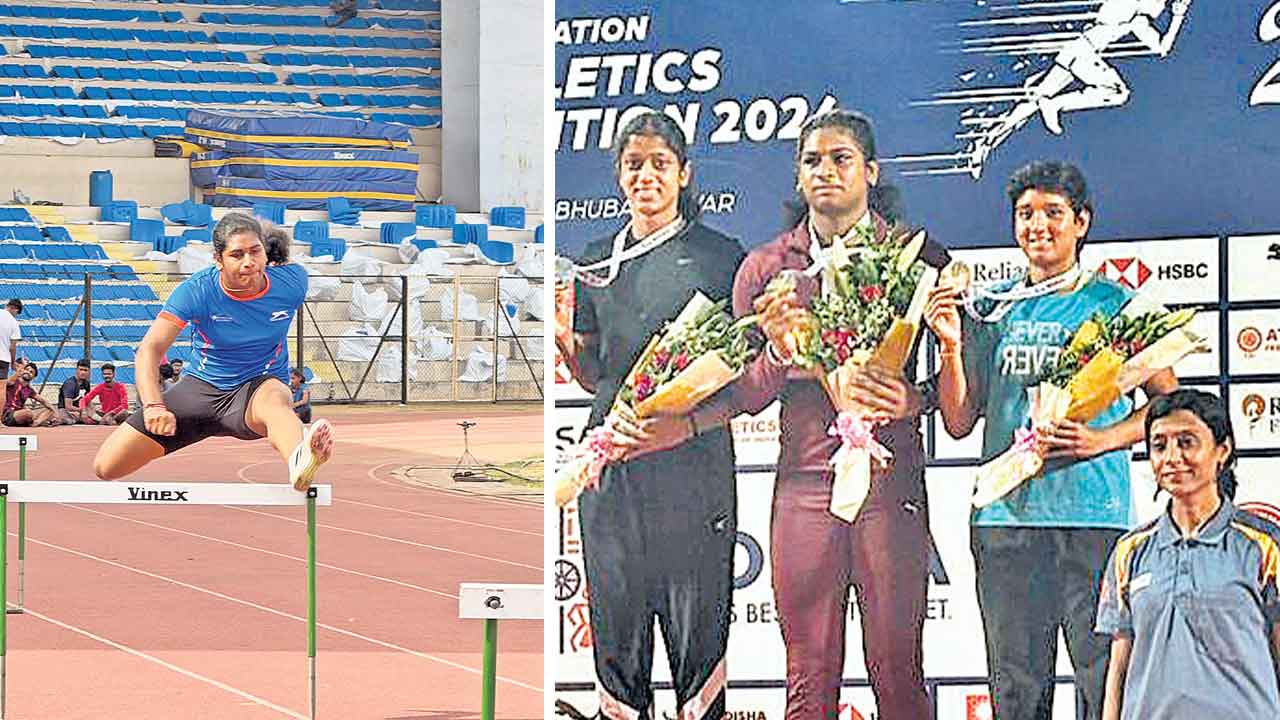 నందిని పసిడి వెలుగు