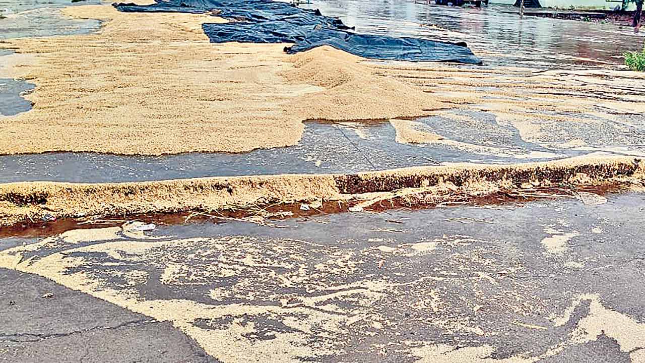 అన్నదాత గుండె చప్పుడు వినాలె