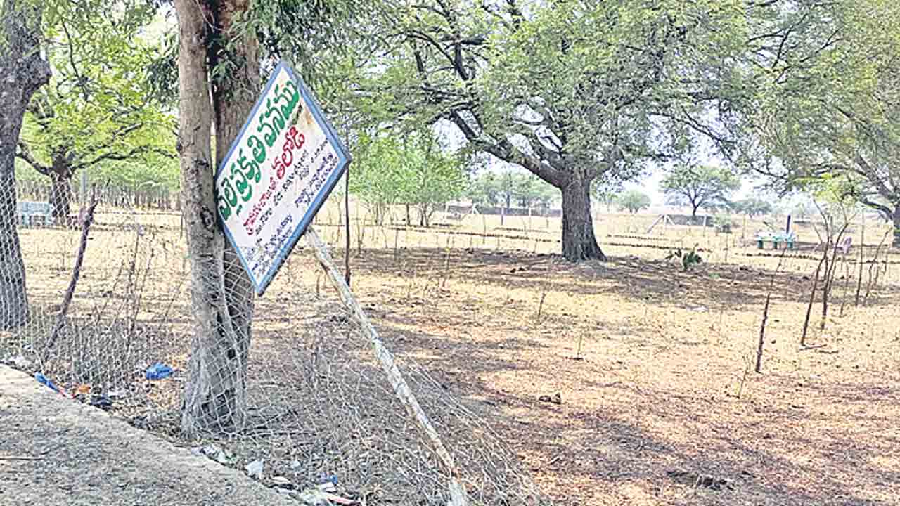 పల్లె ప్రకృతి వనం.. కళావిహీనం