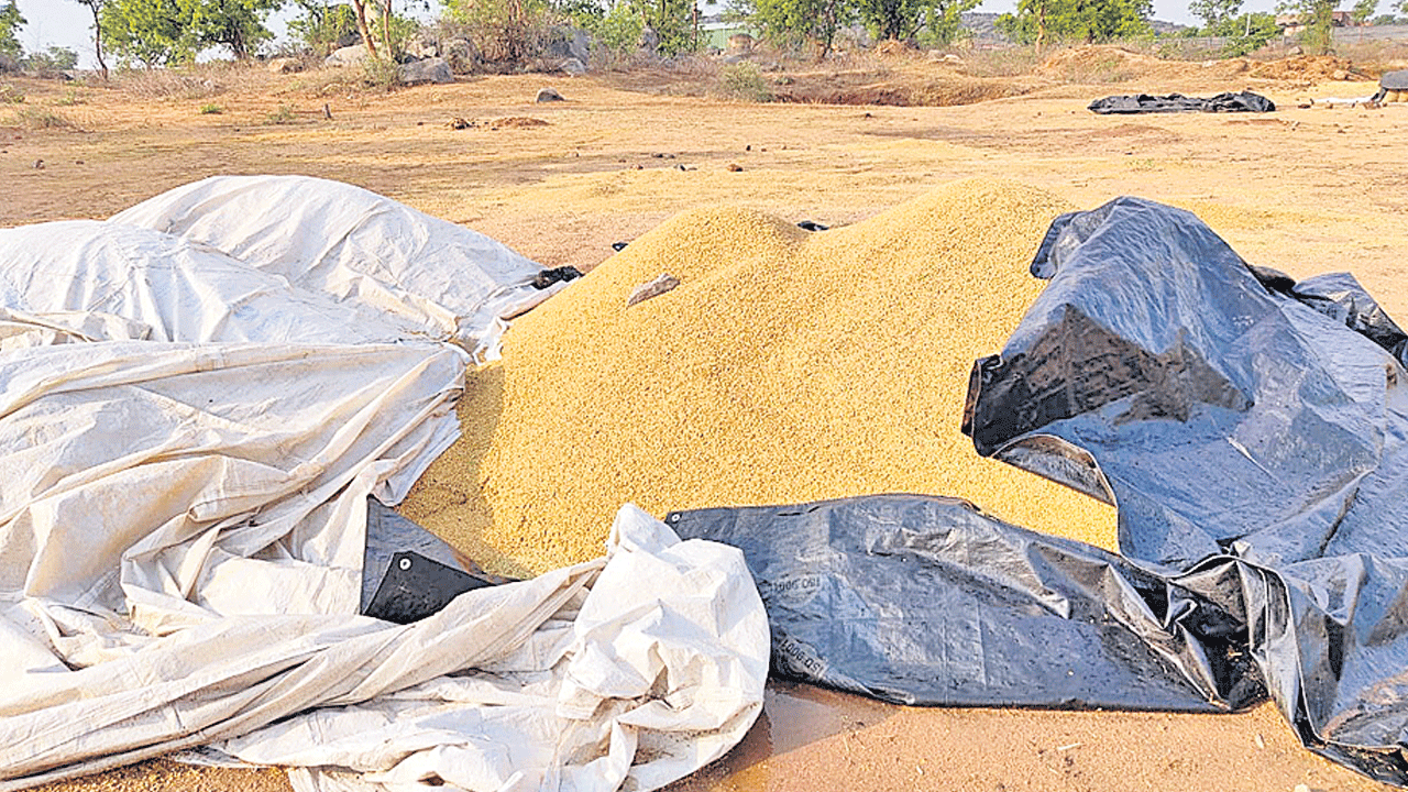 గాలివాన బీభత్సం