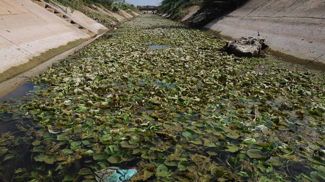 కాల్వలు కడగండ్డు