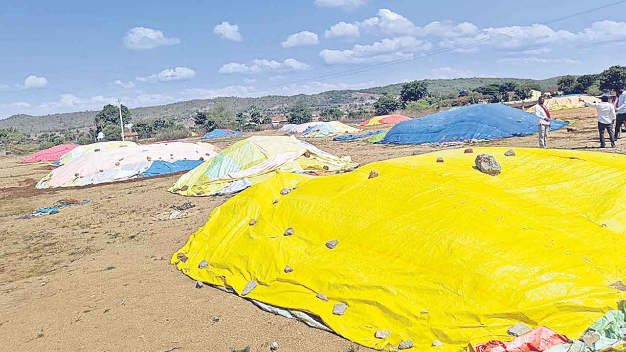 ధాన్యం రైతు గోస