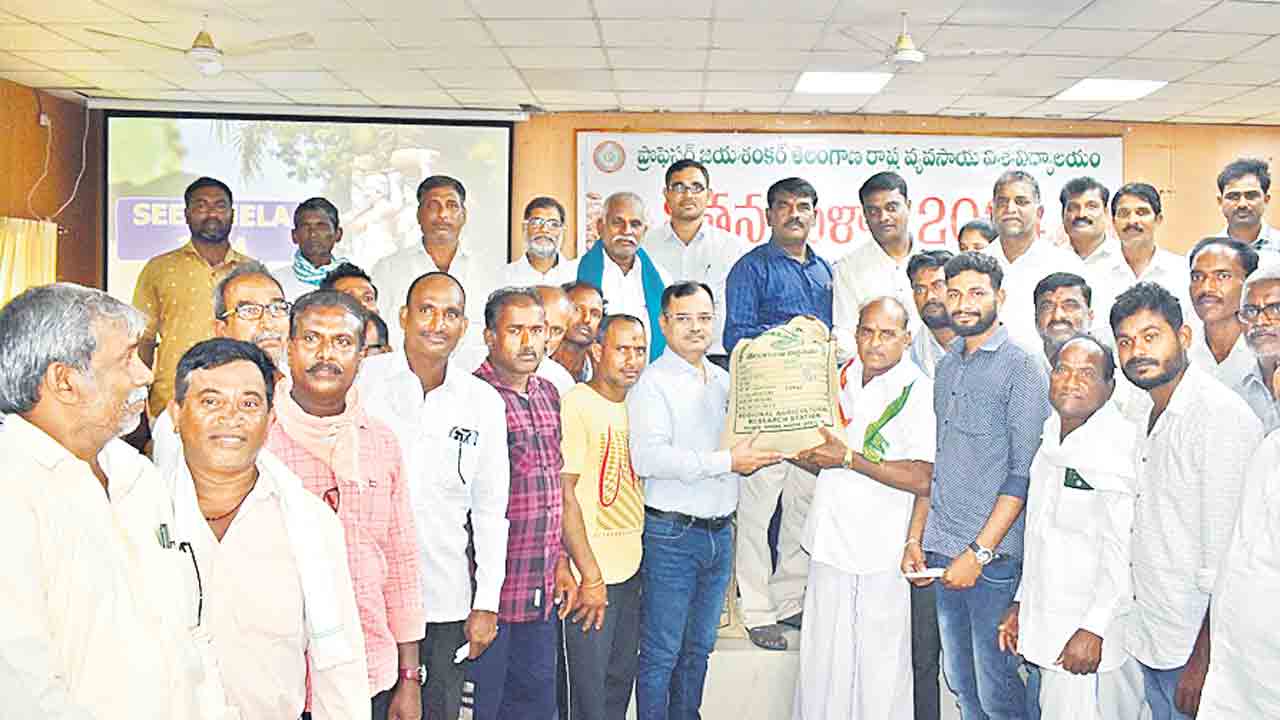 నాణ్యమైన విత్తనాలతో అధిక దిగుబడులు