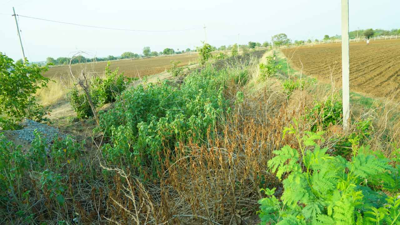 ముంచుకొస్తున్న వానకాలం..