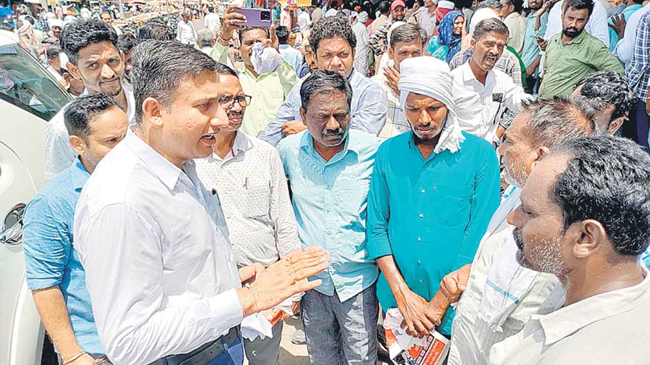 విత్తనాలు అందుబాటులో ఉన్నాయి