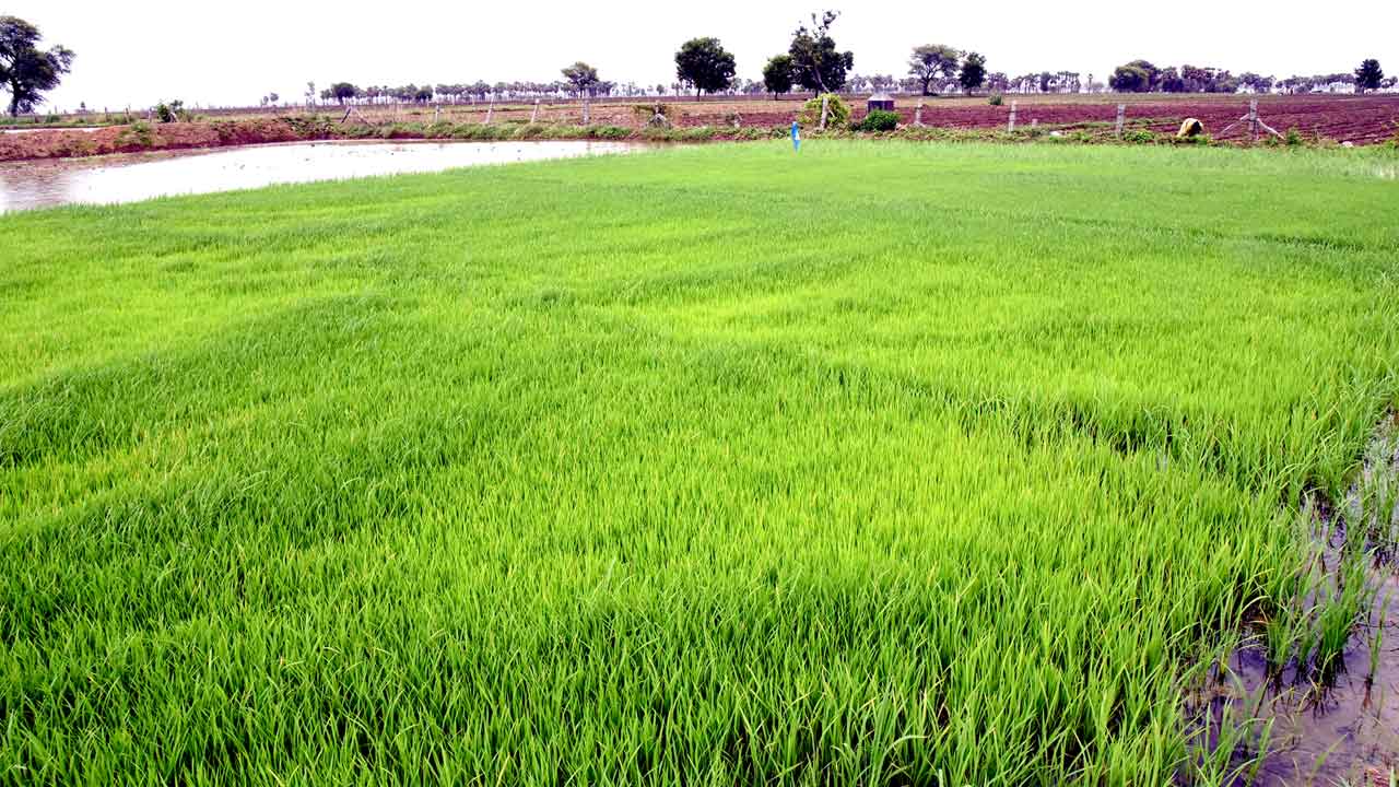 రైతు బంధుపై నీలినీడలు!