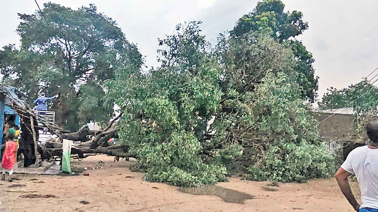 భారీ వర్షానికి తడిసిన ధాన్యం