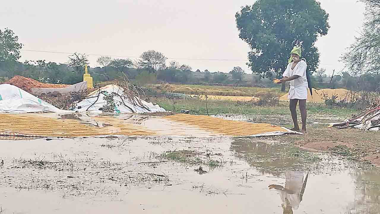 రైతన్నకు తీరని నష్టం