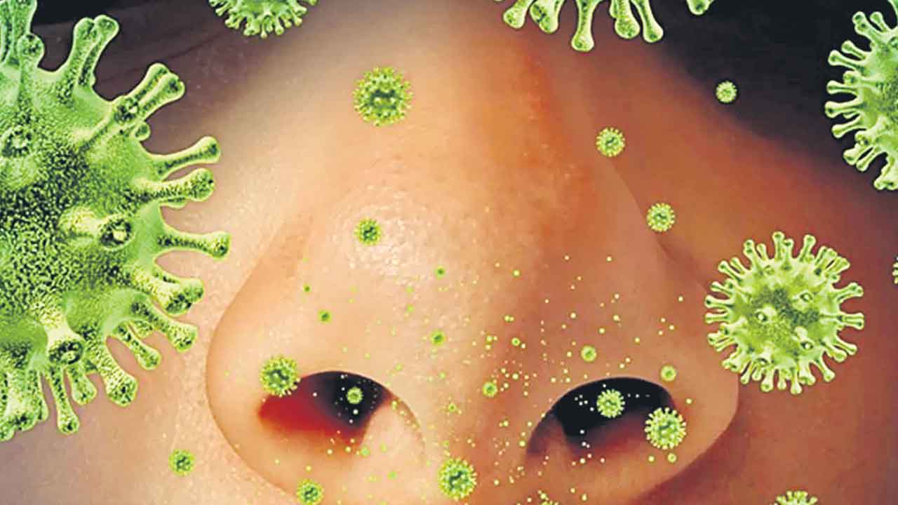 MERS Coronavirus | సౌదీలో మెర్స్‌ కరోనా వైరస్‌.. ఒకరి మృతి